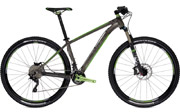 Trail Hardtail
