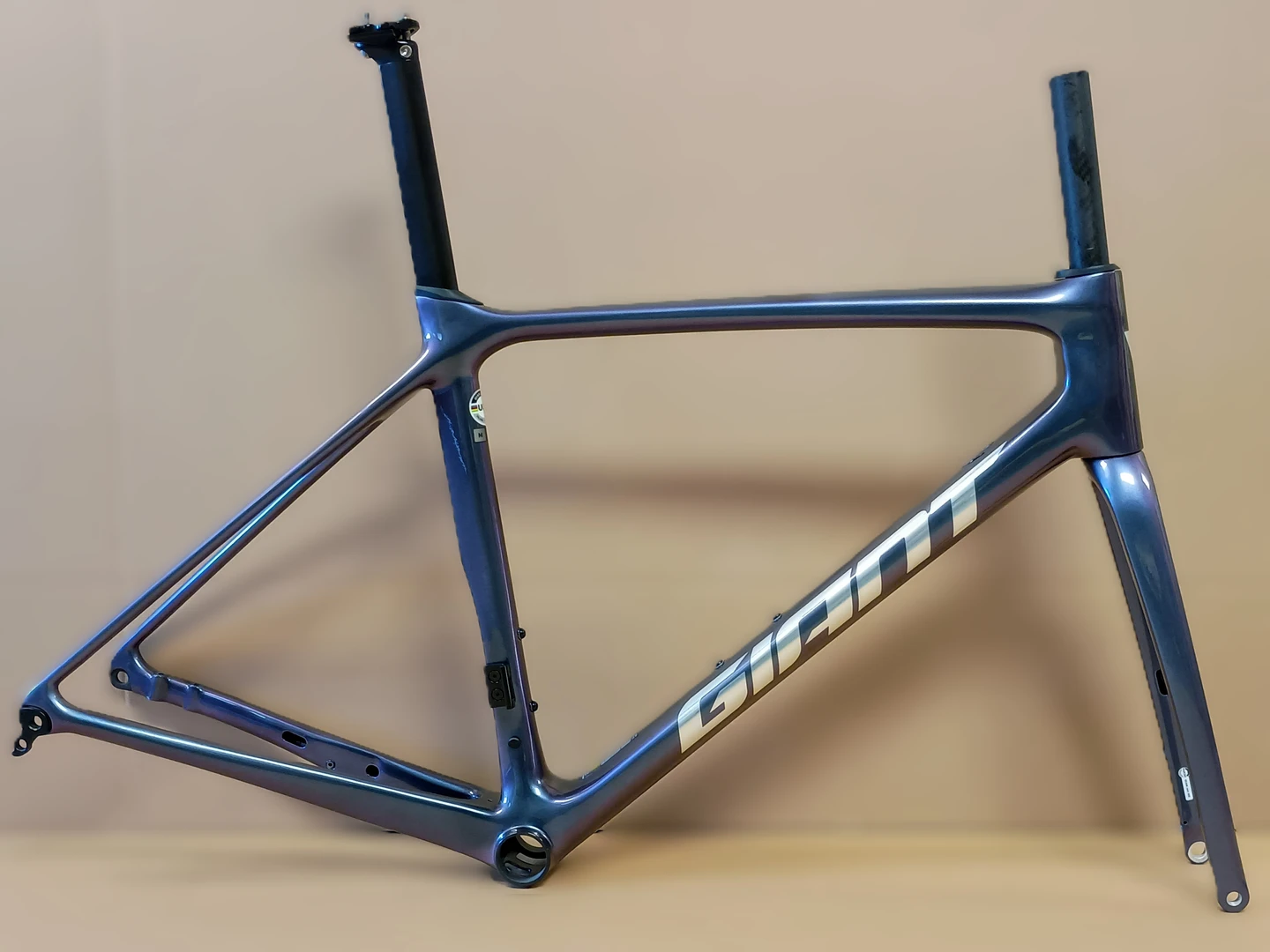 Large Giant TCR Advanced Pro Frameset