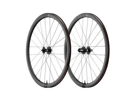 Giant SLR 2 36 Disc Brake Wheels Pair