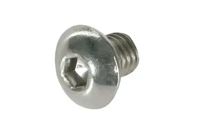 Trek Gear Hanger Screw W291947