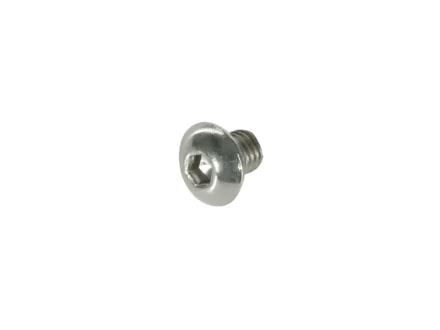 Trek Gear Hanger Screw W291947