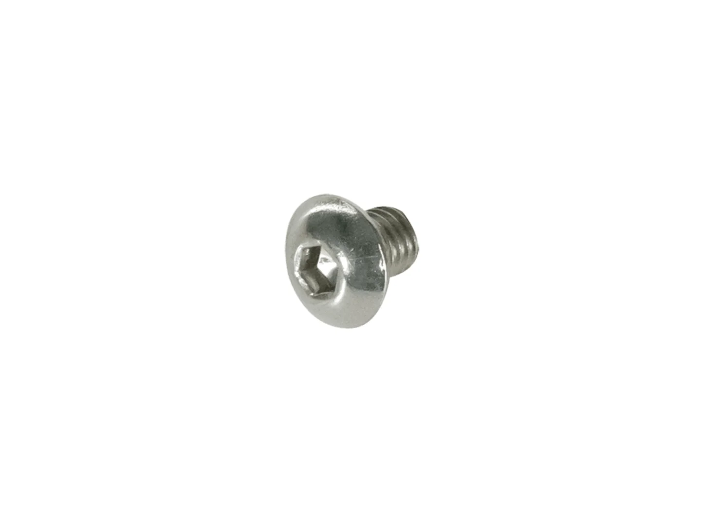 Large Trek Gear Hanger Screw W291947