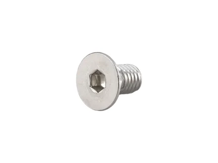 Trek Gear Hanger Screw W300580
