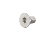 Trek Gear Hanger Screw W300580