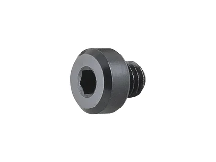 Trek Gear Hanger Screw W304100