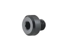 Trek Gear Hanger Screw W304100