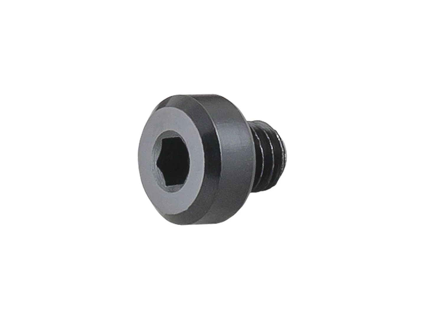 Large Trek Gear Hanger Screw W304100