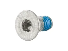 Trek Gear Hanger Screw W318604