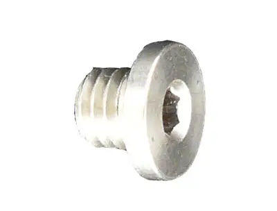 Trek Gear Hanger Bolt W990129