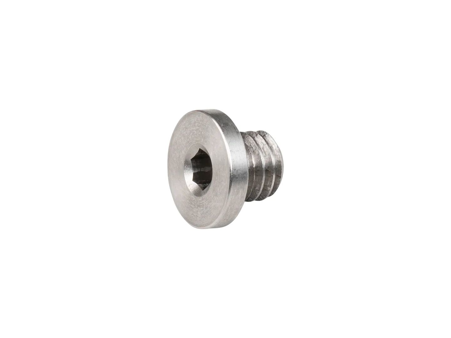 Large Trek Gear Hanger Bolt W990129