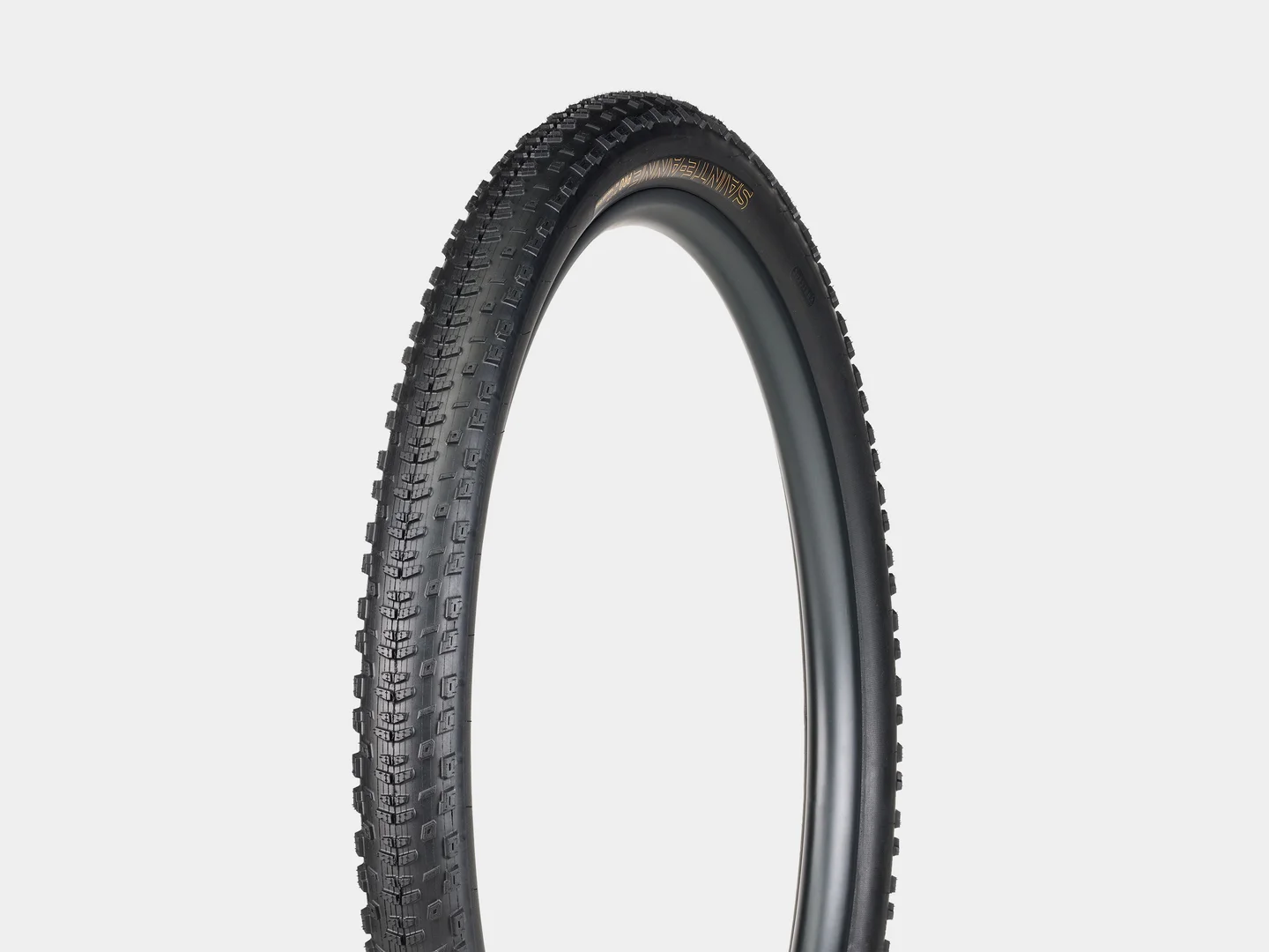 Large Bontrager Sainte-Anne Pro XR TLR MTB Tyre 29x2.4