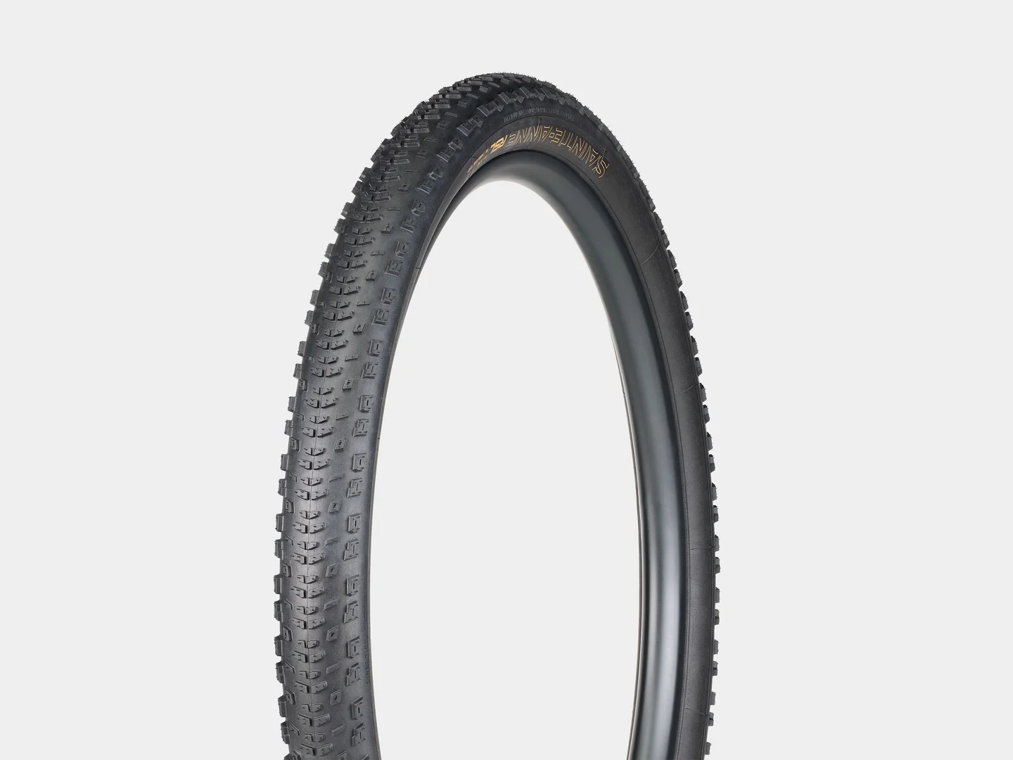 Large Bontrager Sainte-Anne RSL XR TLR MTB Tyre