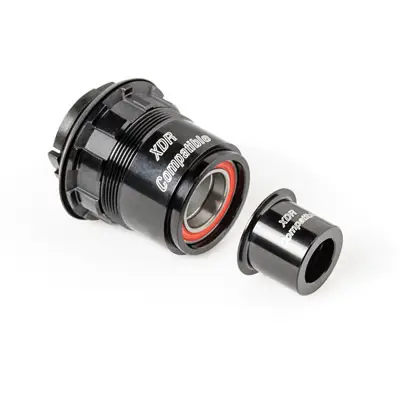 DT Swiss 3 Pawl SRAM XDR 142/12 Freehub Conversion Kit