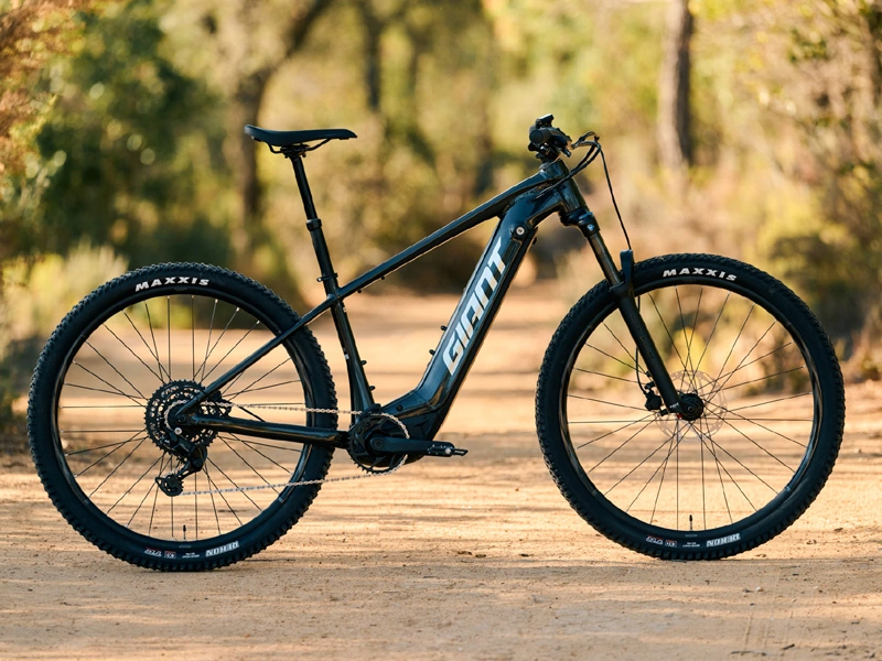 Giant Fathom E+