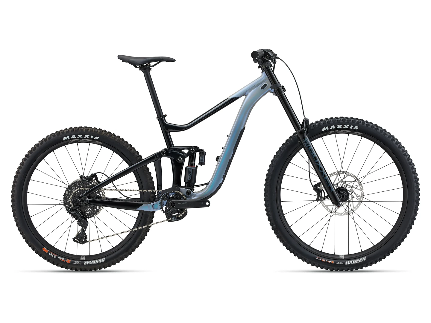 Large Giant Reign SX