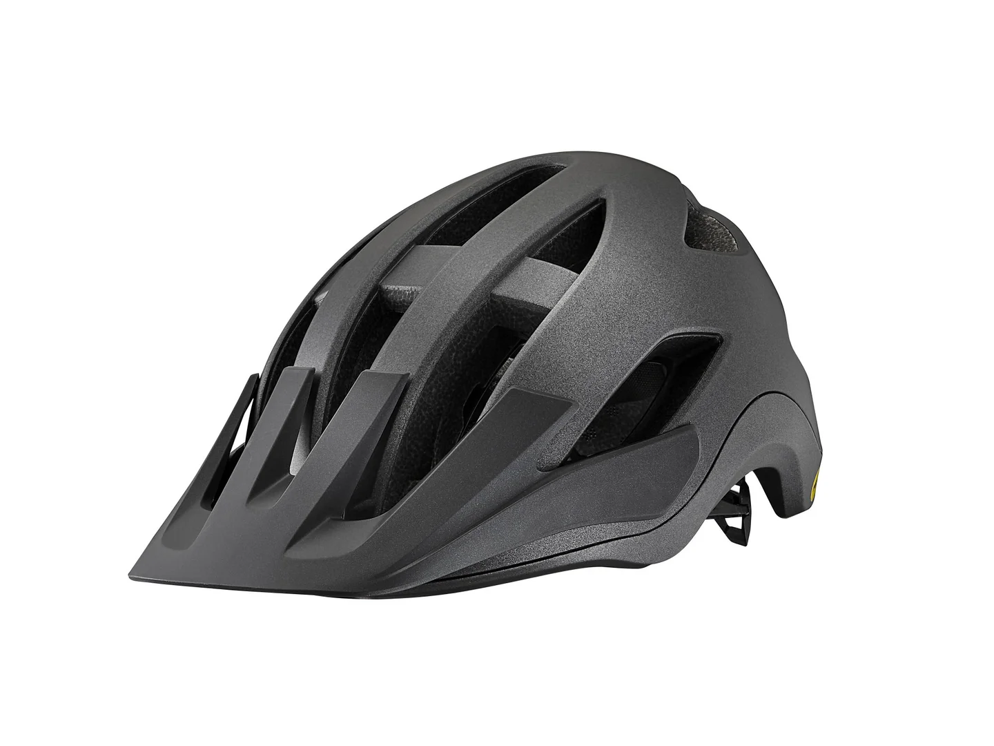 Large Giant Roost Helmet Diamond Black