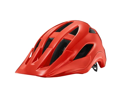 Giant Roost Helmet Phoenix Fire