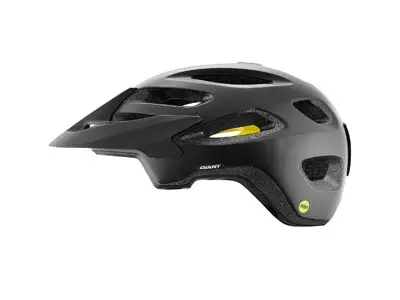 Giant Roost MIPS Helmet Black