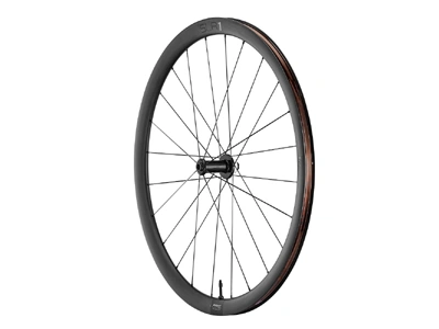 Giant SLR 1 36 Disc Brake Front Wheel