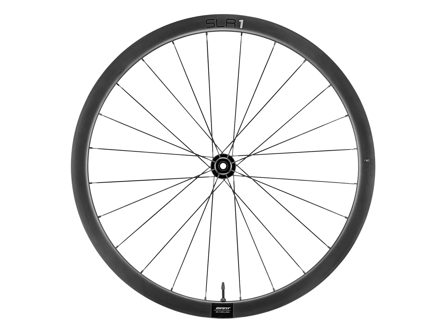 Large Giant SLR 1 36 Disc Brake Front Wheel