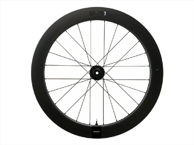 Giant SLR 1 65 Disc Brake Rear Wheel