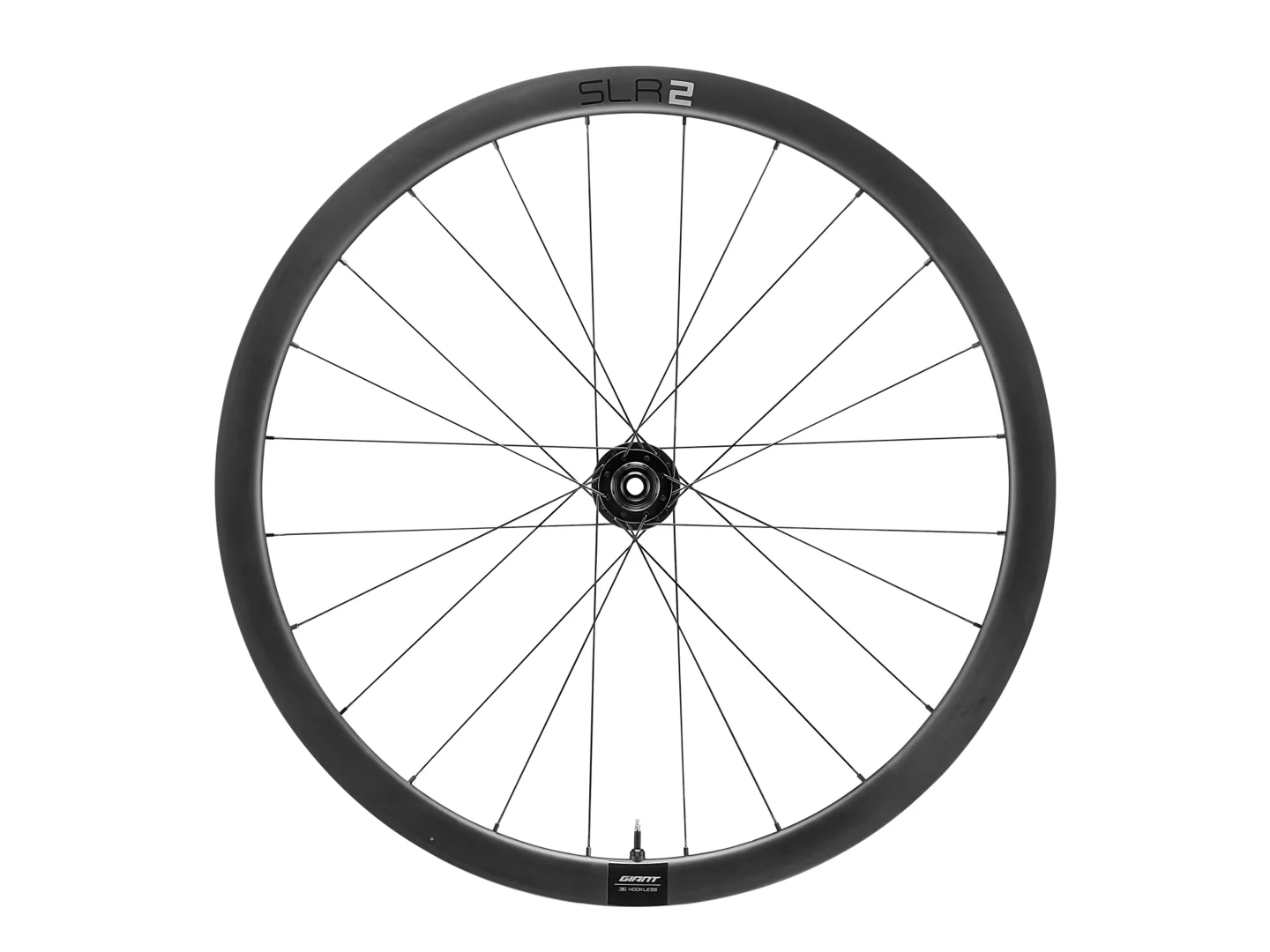 Large Giant SLR 2 36 Disc Brake Front Wheel