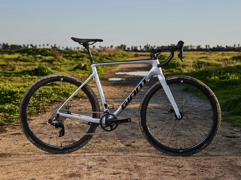 Giant TCX