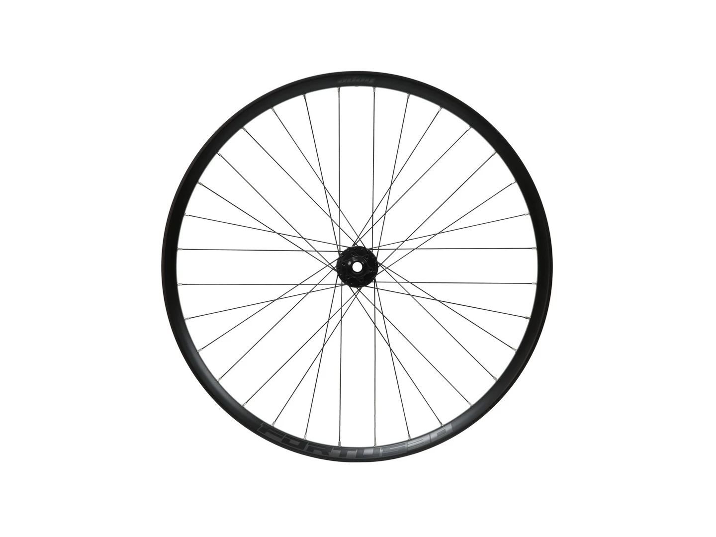 Large Hope Fortus 30W Pro 5 29" Front Wheel Boost