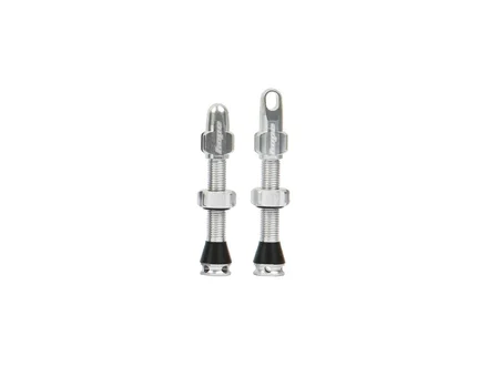 Hope Tubeless Valve Pair 40mm Silver