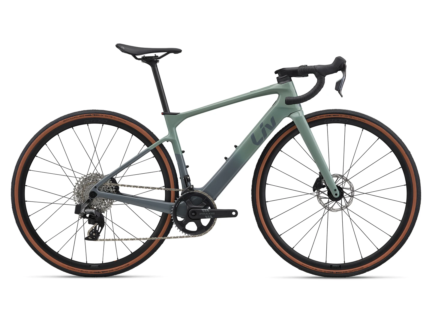 Large Liv Avail Advanced E+ Elite AR