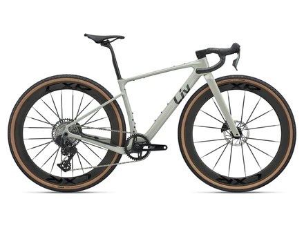 Liv Devote Advanced SL 2
