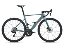 Liv EnviLiv Advanced 2