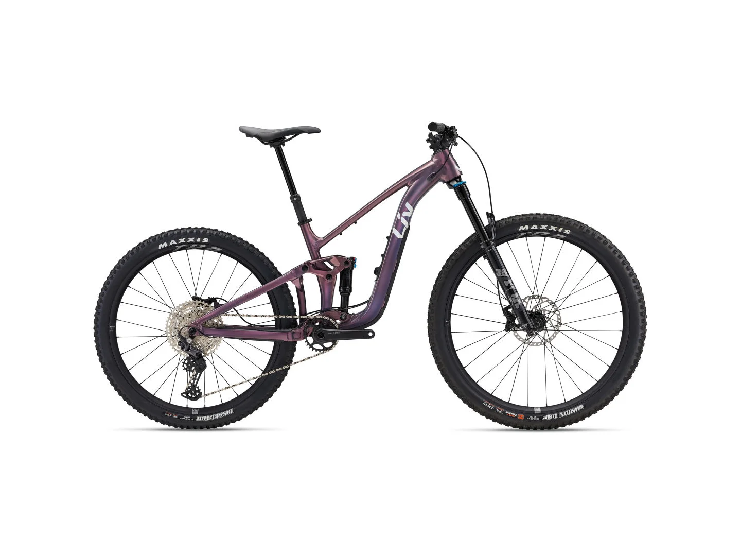 Large Liv Intrigue X 2