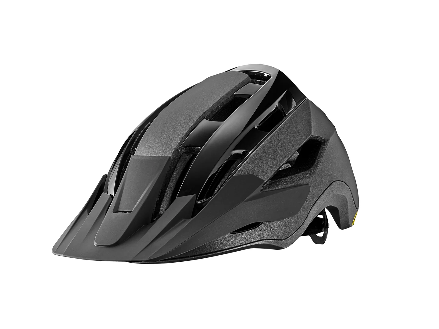 Large Liv Rail Helmet Black Diamond