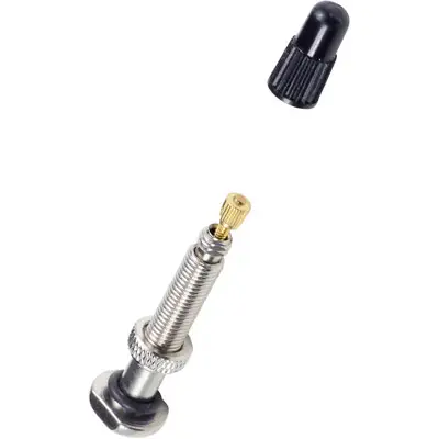 Pair of Bontrager MTB TLR Wheel Valves - 2 Podium Points