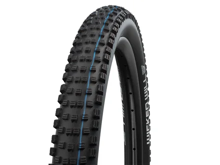 Schwalbe Wicked Will Addix SpeedGrip Super Ground TLE Evolution Tyre 29 x 2.40
