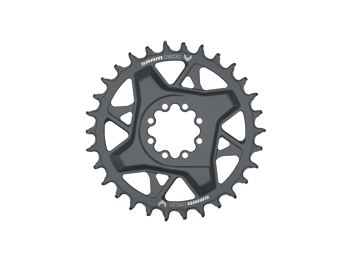 Large SRAM GX T-Type DM Chainring 34T Polar