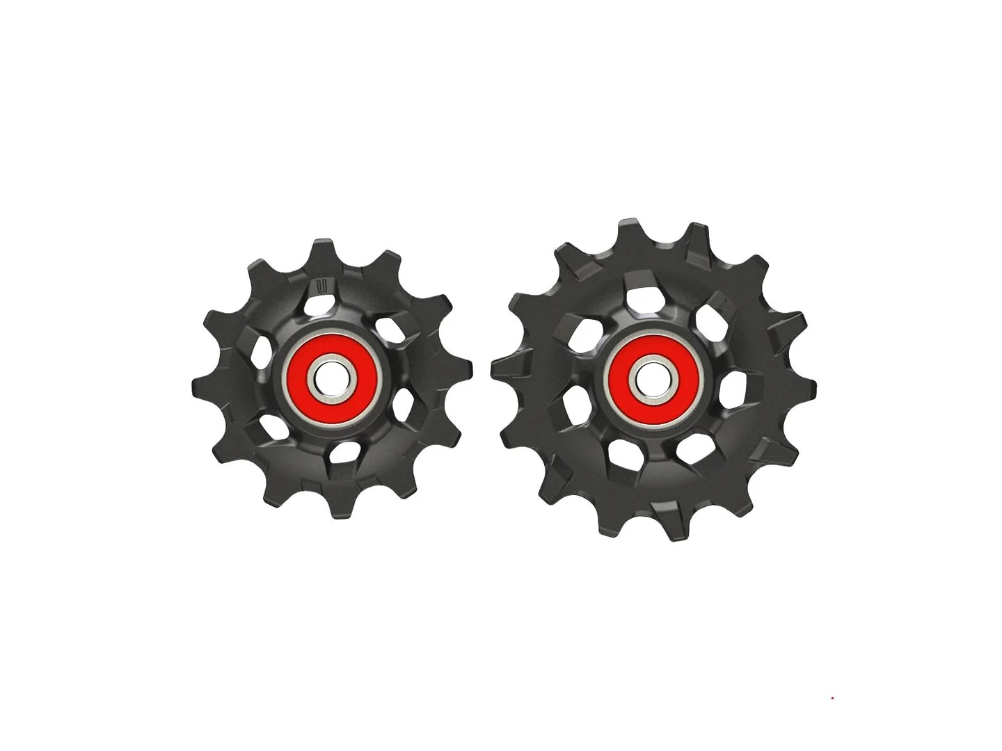 Large SRAM XX1/X01 Eagle Pulley Kit