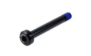 Trek Suspension Bolt M8 x 1.25 x 64